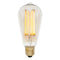 LED Edison Bulbs