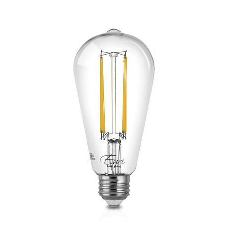 12 Bulb Pack - LED Filament Edison Light Bulb - ST19 Vintage - 5 Watt - 2700K - Nostalgicbulbs.com