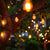 LED Edison bulbs hanging from tree on a string light fixture