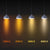 LED Edison Bulbs Color Temperature Chart