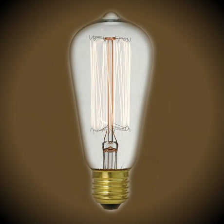 Edison Bulb - 30 Watt - 5.5 in. Length - Squirrel Cage Filament - Clear - Nostalgicbulbs.com