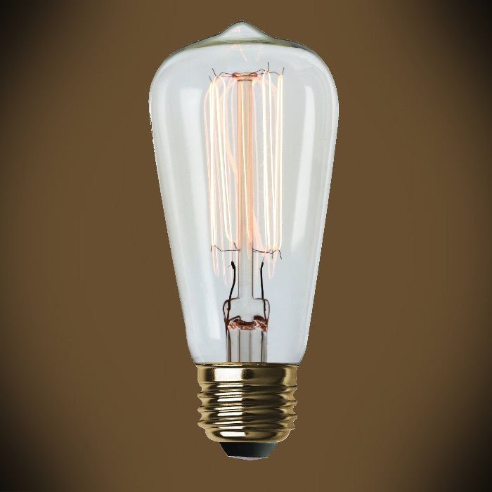 Edison Bulb - 60 Watt - 4.3 In. Length - Squirrel Cage Filament - Clear - Nostalgicbulbs.com