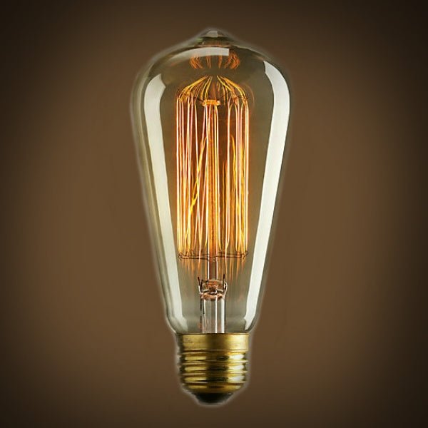Edison Bulb - 60 Watt - 5.5 In. Length - Squirrel Cage Filament - Clear - Nostalgicbulbs.com