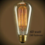 Edison Bulb - 60 Watt - 5.5 In. Length - Squirrel Cage Filament - Clear - Nostalgicbulbs.com